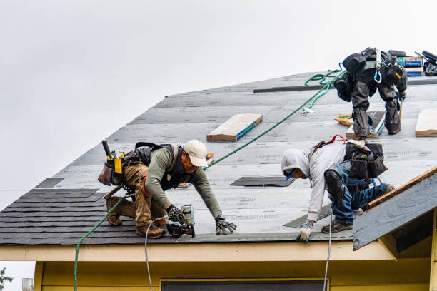 Professional Storm Damage Roof Repair technician working in Great Cacapon, WV